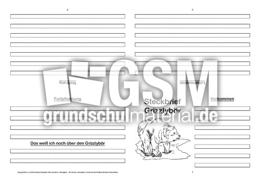 Grizzlybär-Faltbuch-vierseitig.pdf